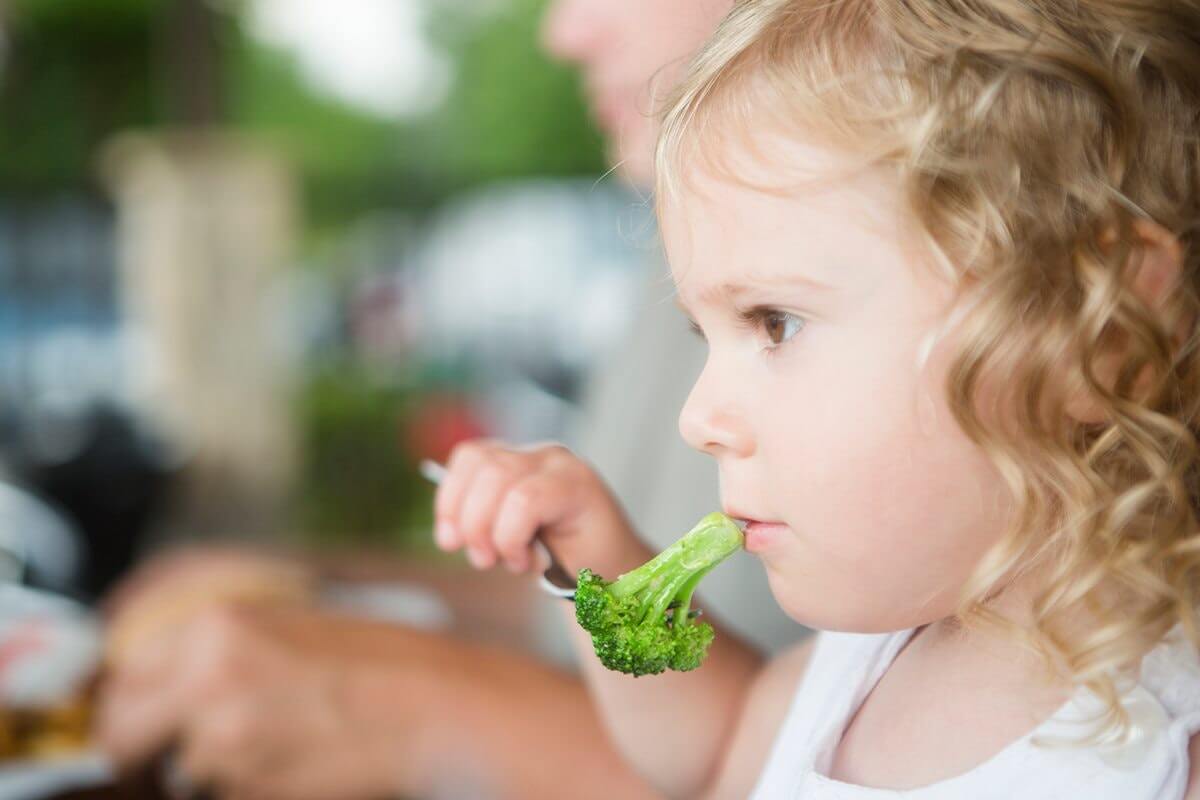 Qué pasa si mi hijo no come frutas Actualizado noviembre 2024