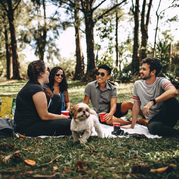 ¿Cómo hacer un picnic divertido?