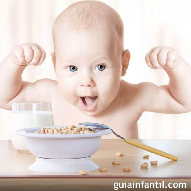 ¿Cómo se introducen los cereales sin gluten?