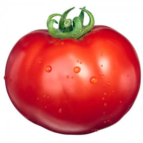 ¿Cómo se llaman los tomates alargados?