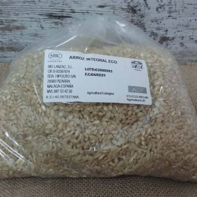 ¿Cuál es el arroz de grano redondo?