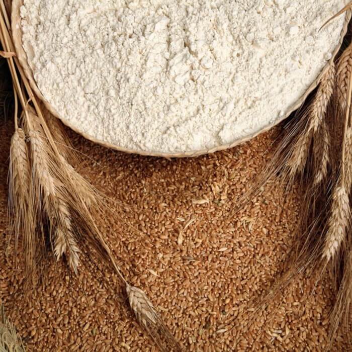 ¿Cuál es el origen de la harina de trigo?
