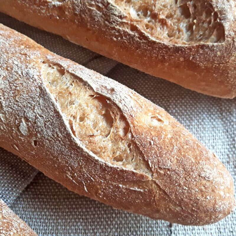 ¿Cuál es el pan comun?