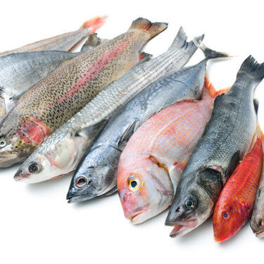 ¿Cuál es el pescado blanco más sano?