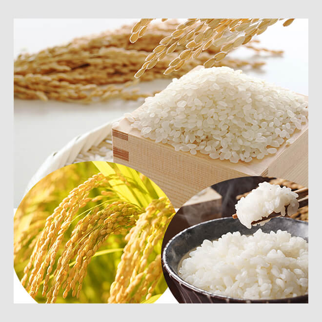 ¿Cuál es la diferencia entre el arroz integral y el Parboilizado?