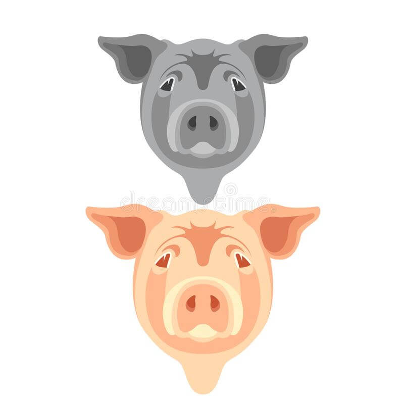 ¿Cuál es la parte más cara del cerdo?