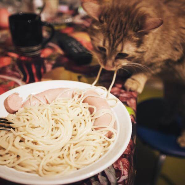 ¿Cuál es la porcion de espagueti?