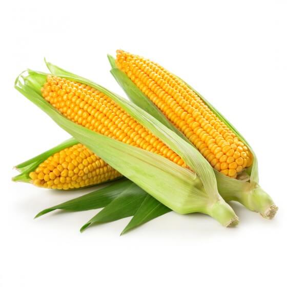 ¿Cuáles son las propiedades del maíz?