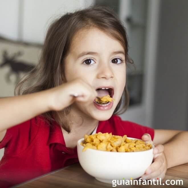 ¿Cuáles son los 4 cereales que contienen gluten?