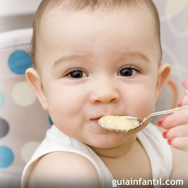 ¿Cuántas veces al día se le da cereales a un bebé?