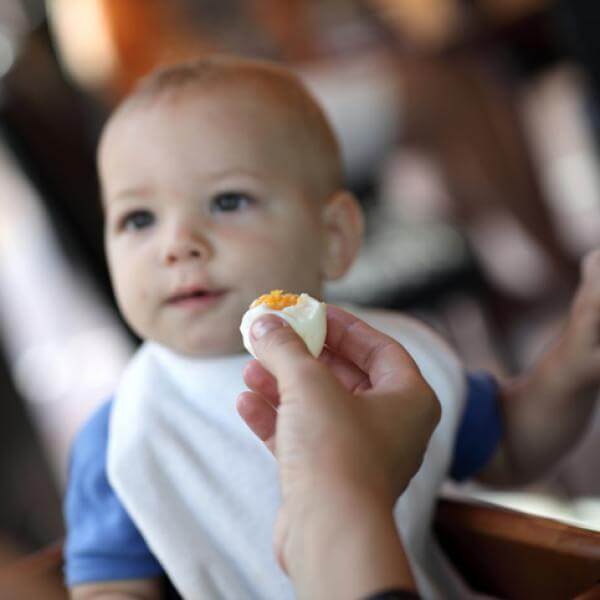 ¿Cuántas veces debe comer un bebé de 7 meses?