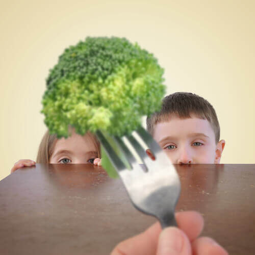 ¿Qué alimentos no deben consumir los niños de 1 a 3 años?