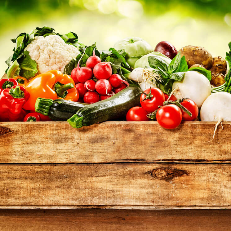 ¿Qué alimentos son verduras y hortalizas?