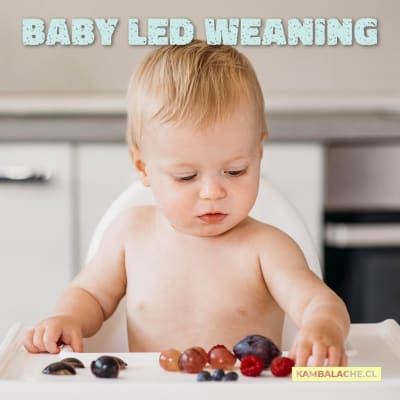 ¿Qué debe comer un bebé de 7 meses según la OMS?