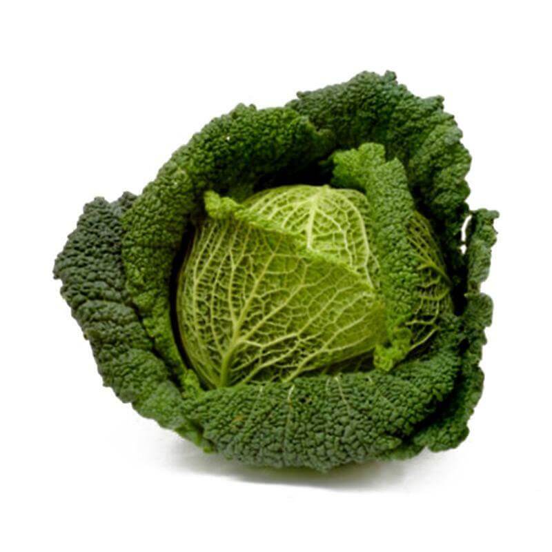 ¿Qué nutrientes se encuentran en las verduras?