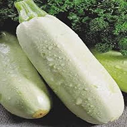 ¿Qué otro nombre recibe el zucchini?