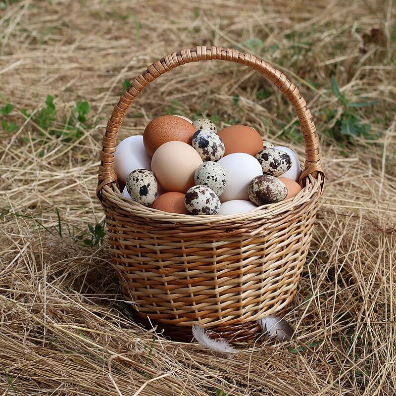 ¿Qué significa cuando te sale un huevo podrido?