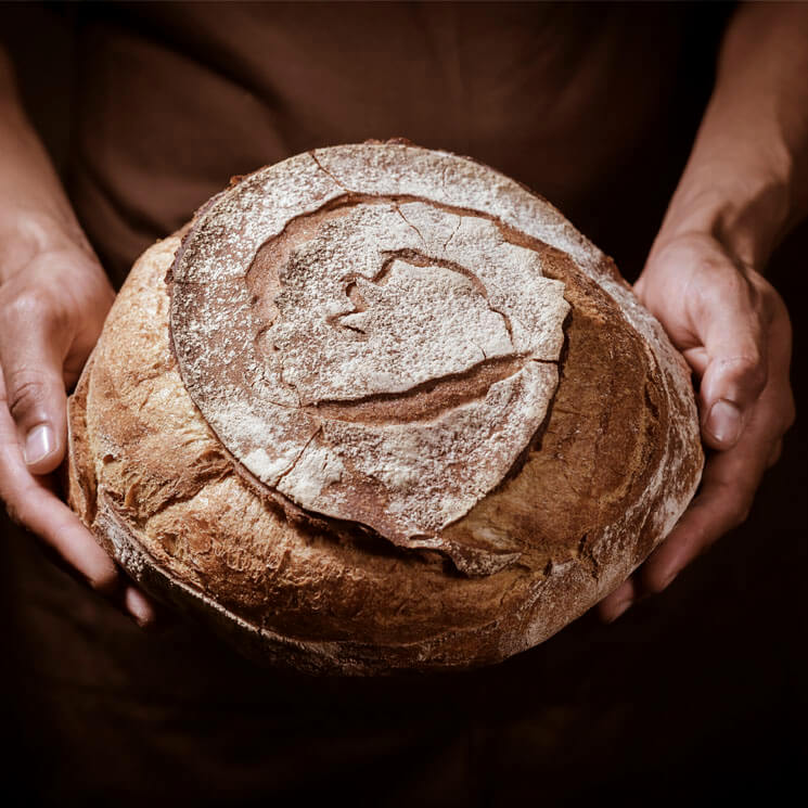 ¿Qué sucede en el proceso de la fermentación del pan?