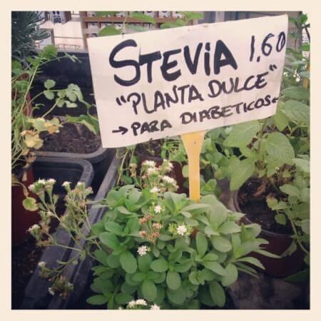 ¿Qué tan dañina es la stevia?