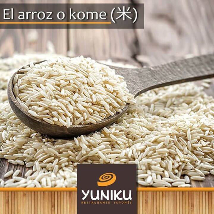 ¿Qué tipo de arroz es preferible comer el arroz integral o refinado?