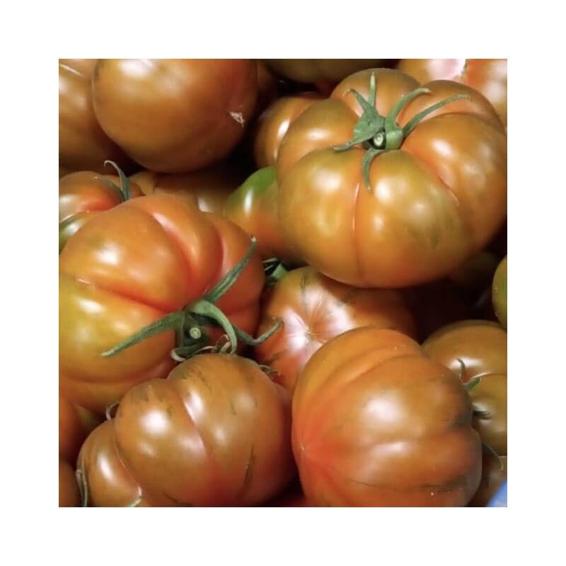 ¿Qué variedad de tomate es la más sabrosa?