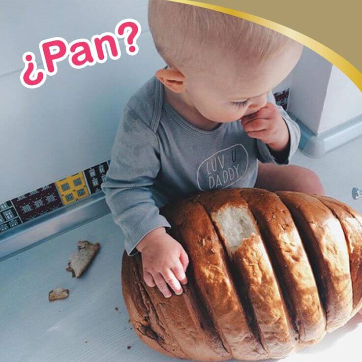¿Cómo empezar a dar pan a un bebé?