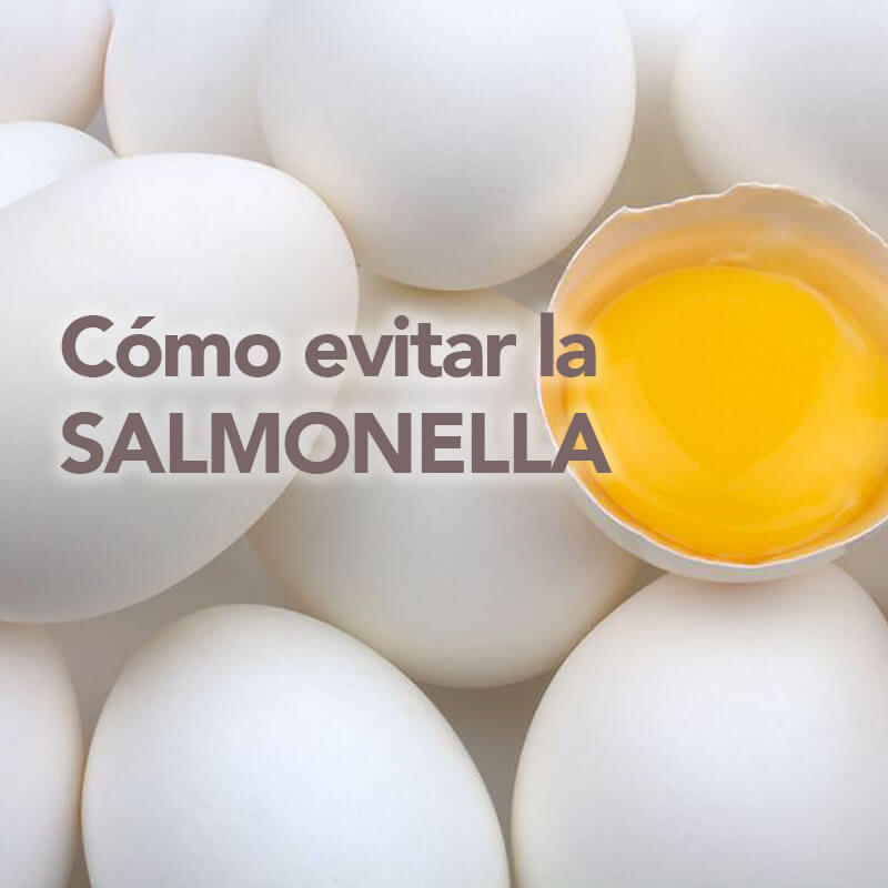 ¿Cómo saber si un huevo tiene salmonella?