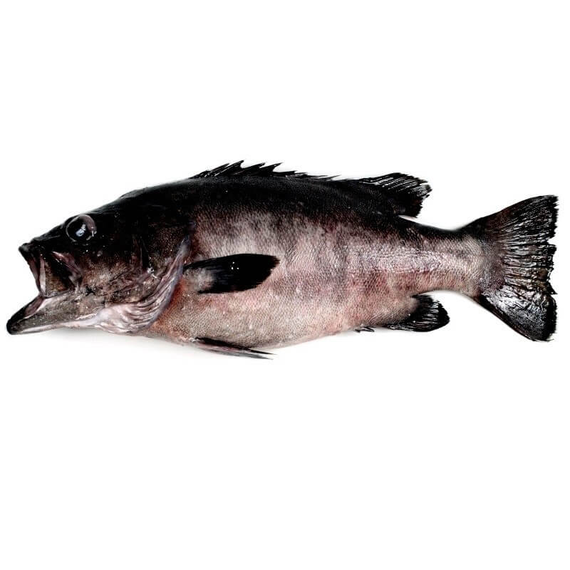 ¿Cómo saber si un pescado tiene anisakis?