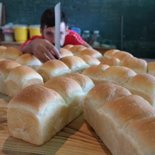 ¿Cuál es el llamado pan blanco?