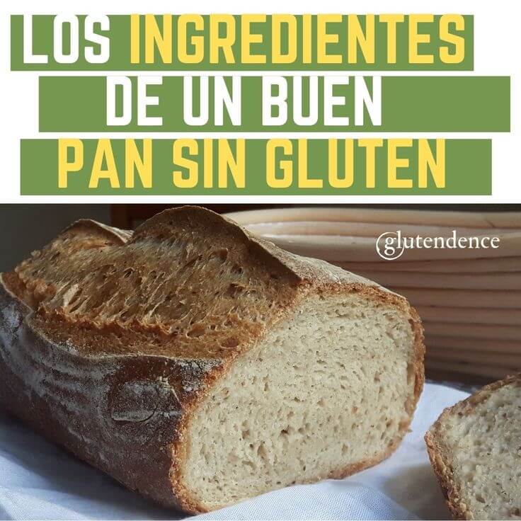 ¿Cuál es el mejor pan sin gluten?