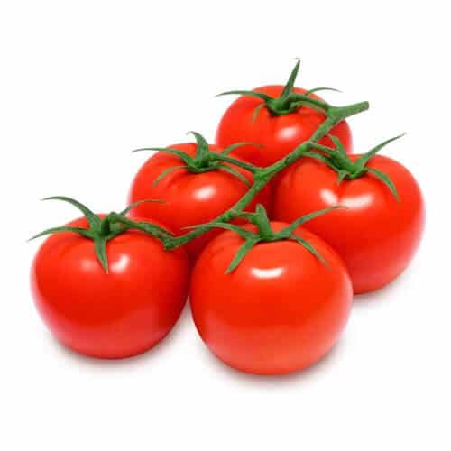 ¿Cuál es el tomate más productivo?