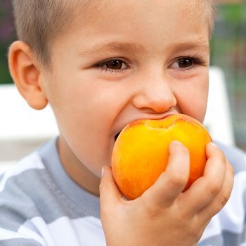 ¿Cuál es la fruta que más les gusta a los niños?