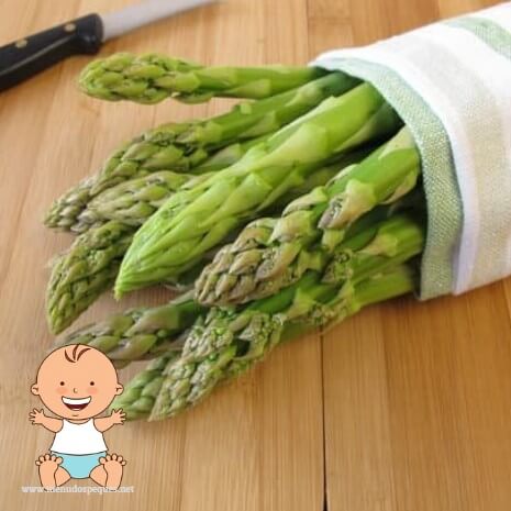 ¿Cuál es la primera verdura que se le da a un bebé?