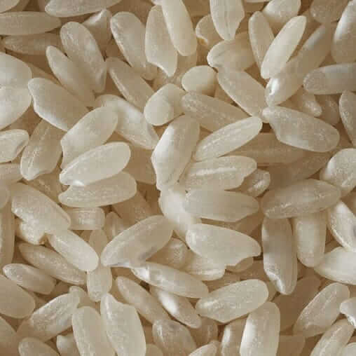 ¿Cuáles son las características del arroz?