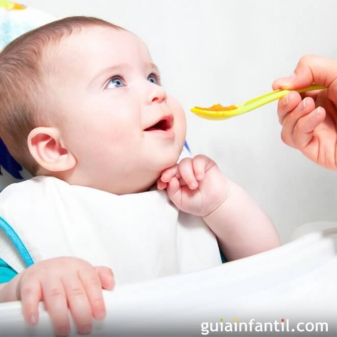 ¿Cuántas veces al día debe comer un bebé de 11 meses?