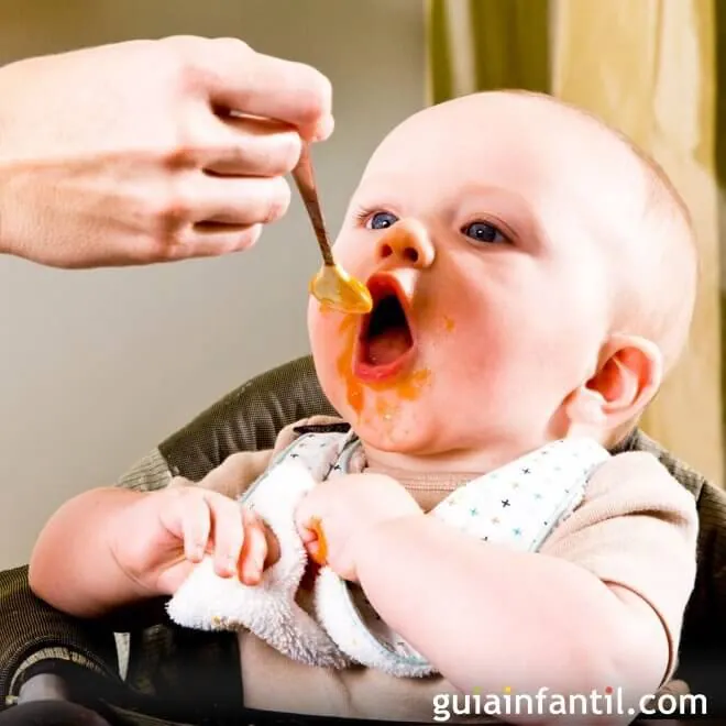 ¿Cuántas veces al día debe comer un bebé de 8 meses?
