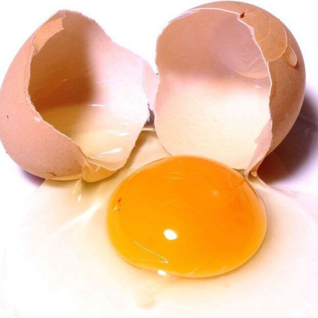 ¿Cuántos huevos se pueden comer por día en una dieta?