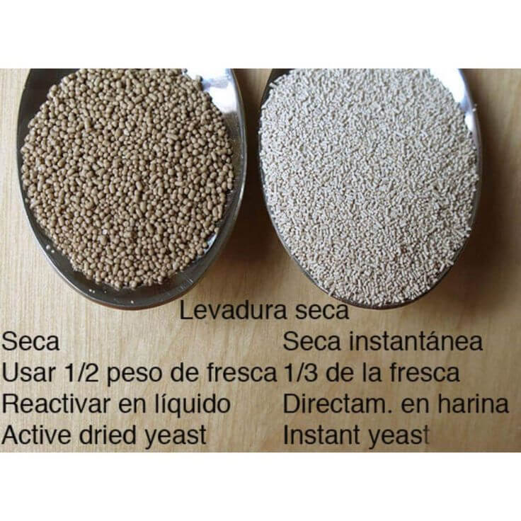 ¿Qué diferencia hay entre levadura fresca y seca?