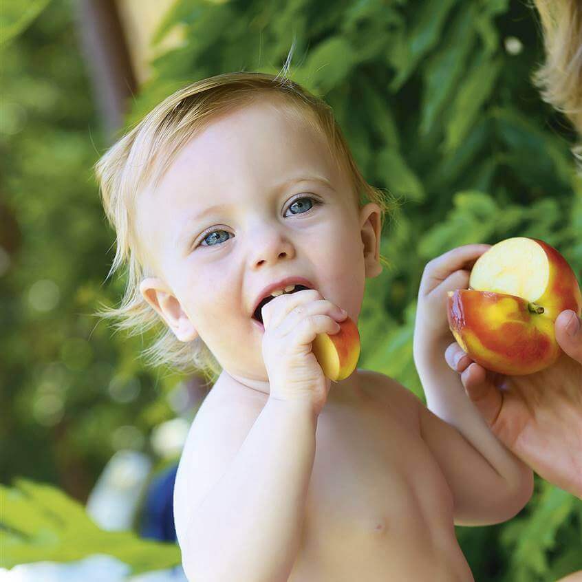 ¿Que no debe comer un bebé de 6 meses?