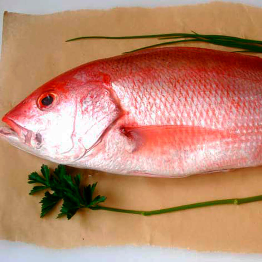 ¿Qué nutrientes contiene el pescado y los mariscos?