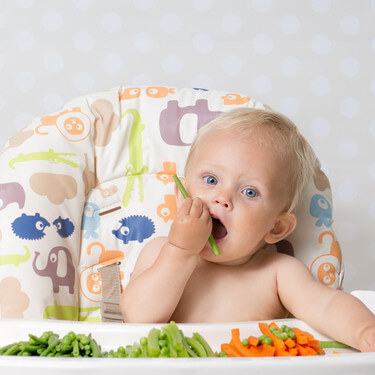 ¿Qué puede comer un bebé de 9 meses Blw?