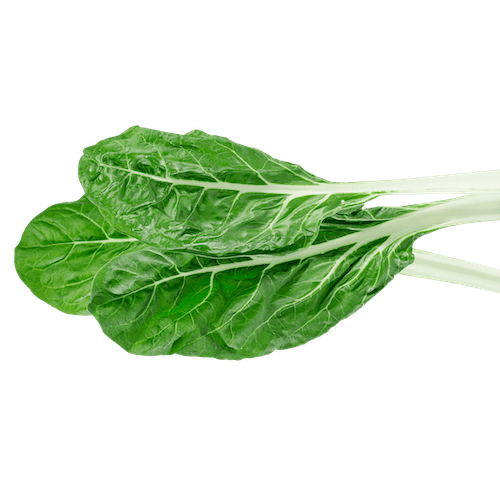 ¿Qué aporta la verdura a nuestro organismo?