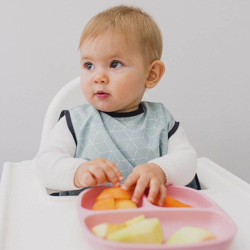 ¿Qué cosas no pueden comer los bebés?