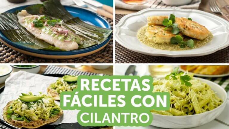 ¡Descubre las deliciosas y aromáticas recetas con cilantro en solo 5 pasos!