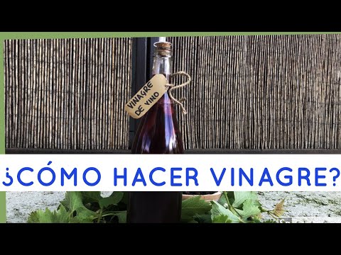 Como hacer vinagre de vino en chile