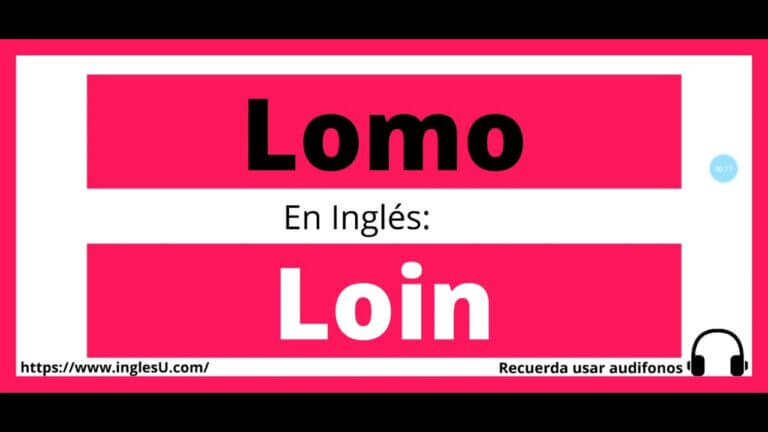 Como se dice lomo en ingles