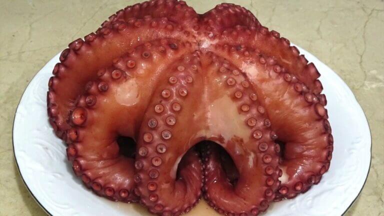 Como cocinar pulpo fresco