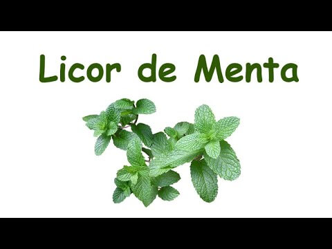 Tipos de licor de menta