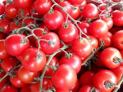 Fotos de tomates rojos