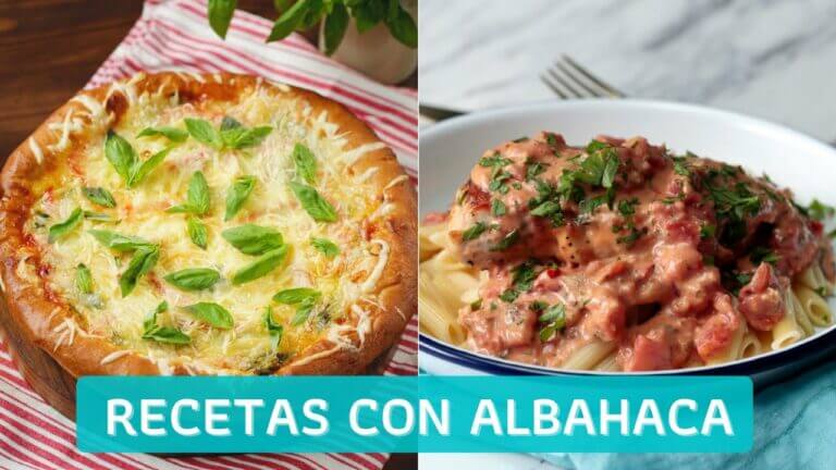 Descubre 5 deliciosas recetas con albahaca que conquistarán tu paladar